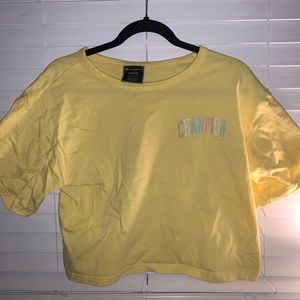Yellow/Pastel Colored Champion Crop Top